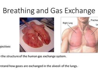 B4.5 Breathing and Gas Exchange NEW AQA