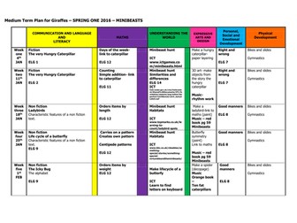 minibeast medium term plan