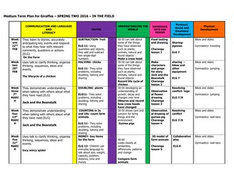 In the Field Medium Term Plan