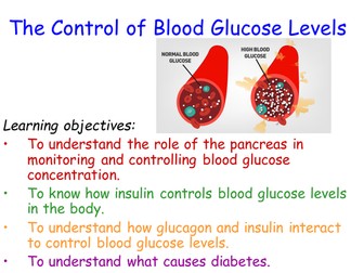 B11.2 The Control of Blood Glucose Levels NEW AQA