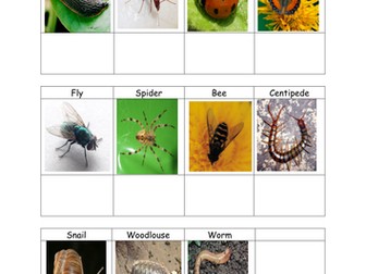 Mini-Beast Tally Chart