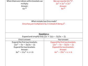 Erica's Errors On Algebraic Expressions