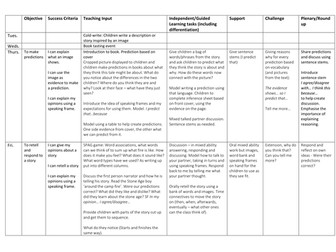 English plan based on Stone Age Boy (3 weeks)
