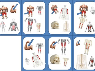 DOBBLE for GCSE PE:  Bones and Muscles