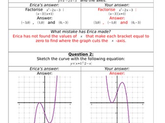 Erica's Errors On Graphs and Transforming Functions