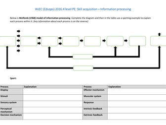 WJEC (Eduqas) 2016 A level PE - Skill acquisition - Welfords information processing model