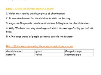 An or A activity - Charlie and the Chocolate Factory