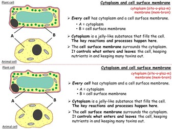 Cells, Tissues and Organs Year 7 Topic- 6 full lessons (KS3 7A ...