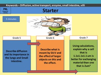 Efficient Transport and exchange Powerpoint including SA:V