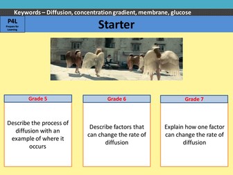 Factors affecting diffusion including Ficks law