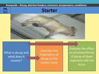 Rates of decomposition