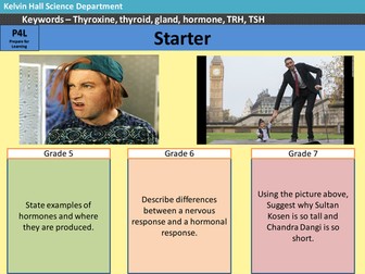 Hormonal Control of metabolic rate (Thyroxine) 9-1