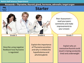 Adrenaline - GCSE Edexcel 9-1