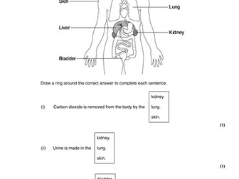 Homeostasis new GCSE lesson