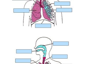 New Spec (2016) OCR GCSE PE Respiratory System Scheme of work and resources