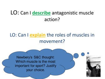 Powerpoint and worksheets on Muscles