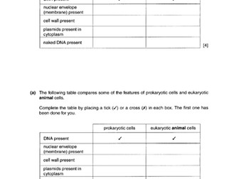 Eukaryotes and Prokaryotes