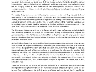 Gothic - 'Rebecca' model critical appreciation