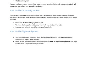 Circulatory and Digestive System independent report scaffold
