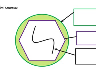 Edexcel Biology (9-1) Virus Life Cycles Topic SB5f