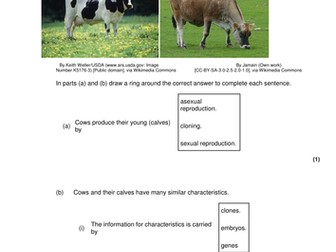 Selective Breeding - New AQA Biology GCSE