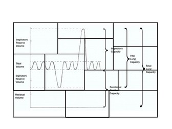 Lung Volumes Jigsaw Game