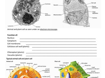 IGCSE BIOLOGY: Chapter 2.0 Organisation of Organisms