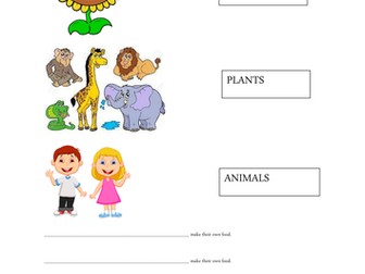 4 weeks of Animals Including Humans