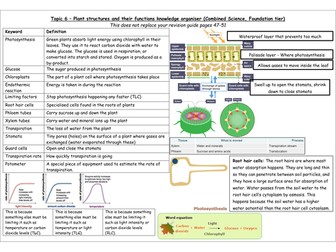 Edexcel 9-1 GCSE Biology Topic 6 Plants knowledge organiser Combined FT