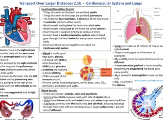 Knowledge Organiser AQA 9-1 GCSE Synergy - Cardiovascular System and Lungs