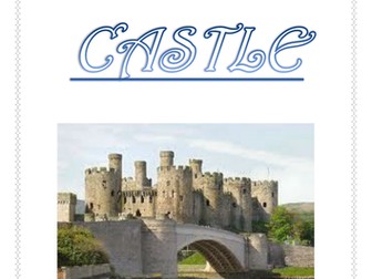 Conwy Castle Activity sheet