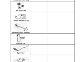 New BTEC Applied Science B2 Cell specialisation and B3 Tissue structure and function