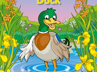 Lucky Duck Story Book