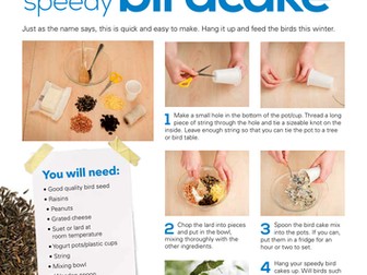 Instructions to make a simple bird cake