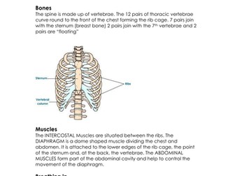 Vocal skills for Actors: The voice