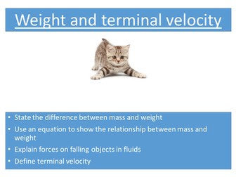 Weight and terminal velocity