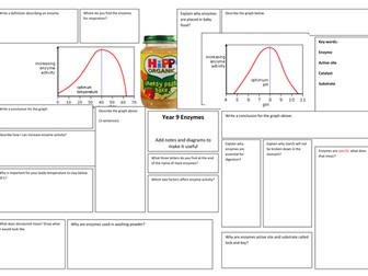 enzymes revision mat KS3/KS4