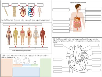 AQA B2 Organisation Revision poster (Trilogy)