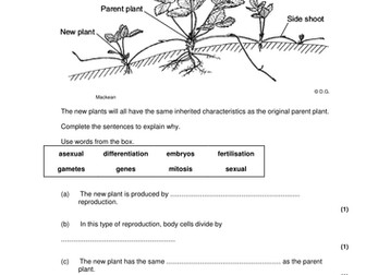 AQA B13 Reproduction (Trilogy Content)