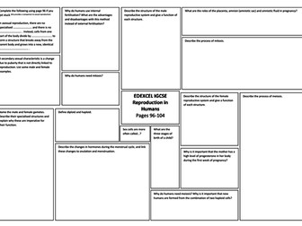 Edexcel iGCSE Human Reproduction