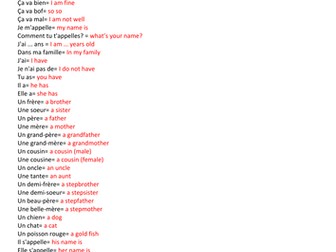 La famille - The family - KS3 scaffolded test/worksheet/cover with answers Expo 1 module 2 unit 1/2