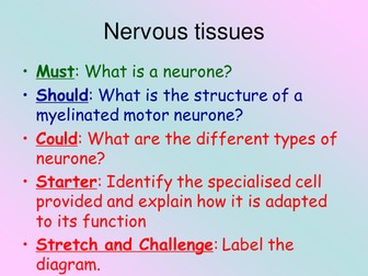 New BTEC Applied Science B3 Tissues structure and function_Nervous tissue_Lessons 1-4