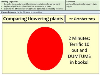 KS3 Comparing Flowering Plants