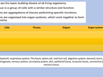 AQA Biology Digestion/Enzymes