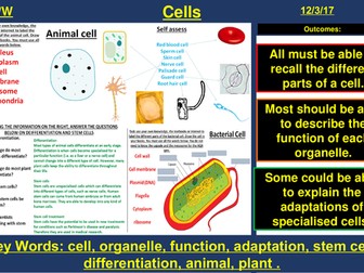 Cells, Specialised Cells, Differentiation | AQA B1 4.1 | New Spec 9-1 (2018)