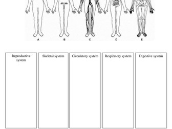 Classifying Organs and Organ Systems