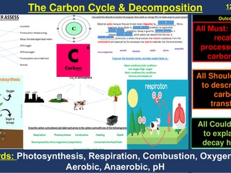 The Carbon Cycle & Decomposition | AQA B2 4.7 | New Spec 9-1 (2018)