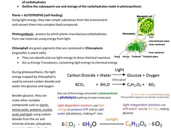 IGCSE BIOLOGY - 6.0 Plant Nutrition