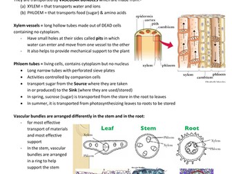 IGCSE BIOLOGY 8.0/9.0 Transport in Plants and Animals / 10.0 Disease and Immunity