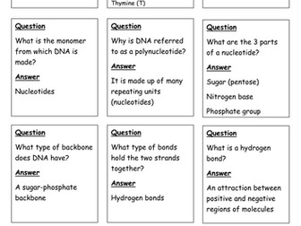 DNA & mitosis quiz, quiz trade cards